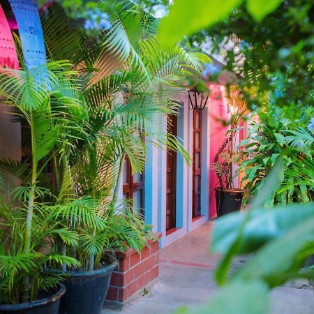 Hotel Las Golondrinas Oaxaca Eksteriør bilde