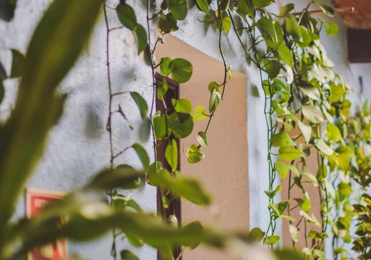 Hotel Las Golondrinas Oaxaca Eksteriør bilde