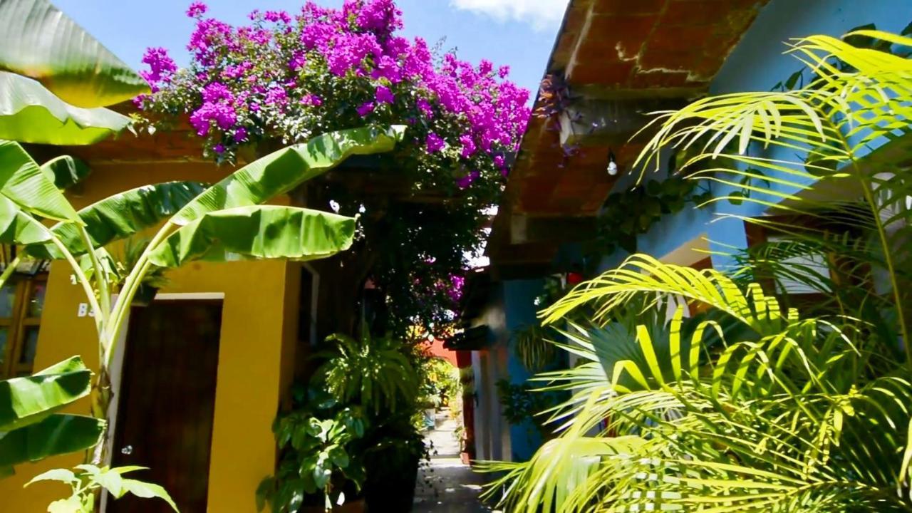 Hotel Las Golondrinas Oaxaca Eksteriør bilde